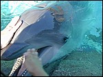 DSCN0017.JPG
