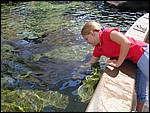 DSCN0020.JPG