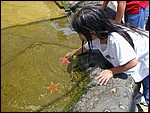 DSCN0028.JPG