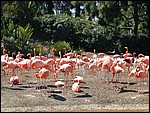 DSCN0037.JPG