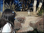 DSCN0068.JPG