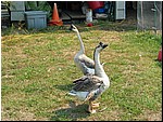 IMG_0074.JPG
