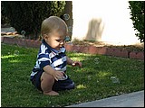 IMG_1621.JPG