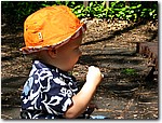 IMG_1769.JPG