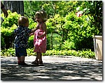 IMG_1786.JPG