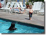 IMG_4285.JPG