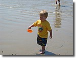 IMG_4308.JPG