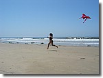 IMG_4325.JPG