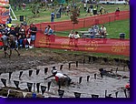 100_2825.jpg