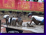 100_2834.jpg