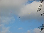 IMG_5754.JPG