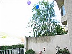 IMG_5786.JPG