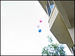 IMG_5787.JPG