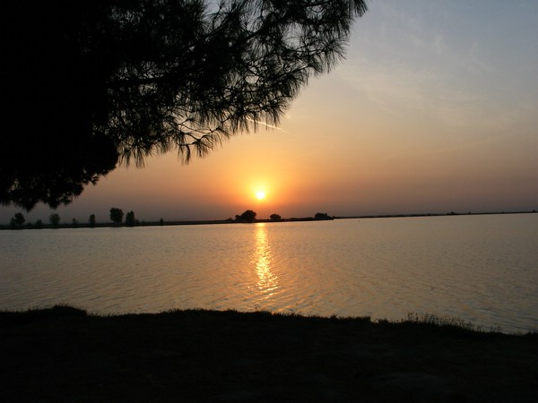IMG_6588.JPG