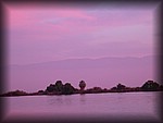 IMG_6584.JPG