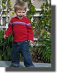IMG_5310 crop.jpg