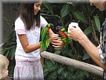 IMG_2872.JPG