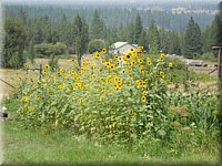 DSC00594.JPG