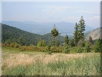 DSC00613.JPG