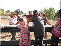 IMG_0231.JPG