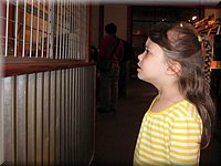 IMG_0413-2.jpg