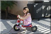 IMG_1428.jpg