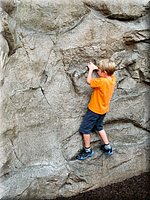 IMG_1235.jpg