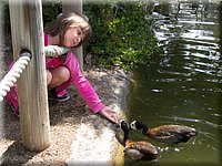 IMG_0628.jpg
