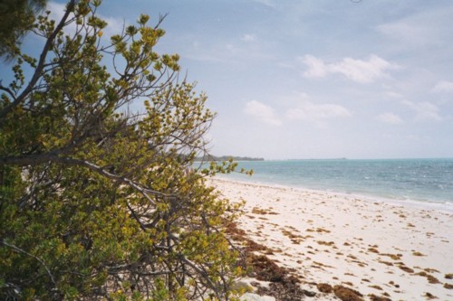 Beach2.jpg