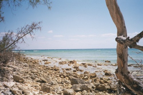 Beach3.jpg