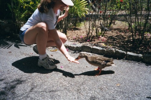 Duck4.jpg
