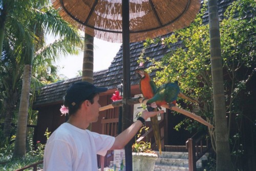 Jeff_Parrot.jpg