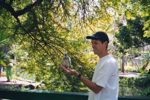 Jeff_Pigeon.jpg