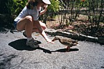 Duck4.jpg