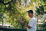 Jeff_Pigeon.jpg