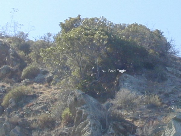DSCN0019.JPG