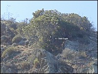 DSCN0019.JPG