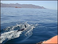 DSCN0026.JPG