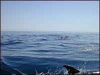 DSCN0029.JPG
