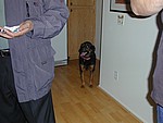DSCN0017.JPG