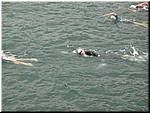 IMG_0016.JPG