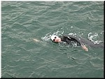 IMG_0024.JPG