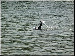 IMG_0049.JPG