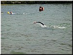 IMG_0050.JPG
