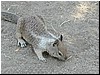 DSCN0094.JPG