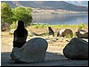 IMG_2350.JPG