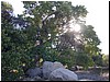 dscn0016.jpg