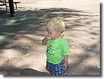 IMG_2895.JPG