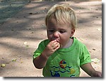 IMG_2900.JPG