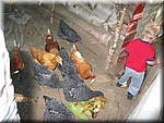 IMG_4759.JPG